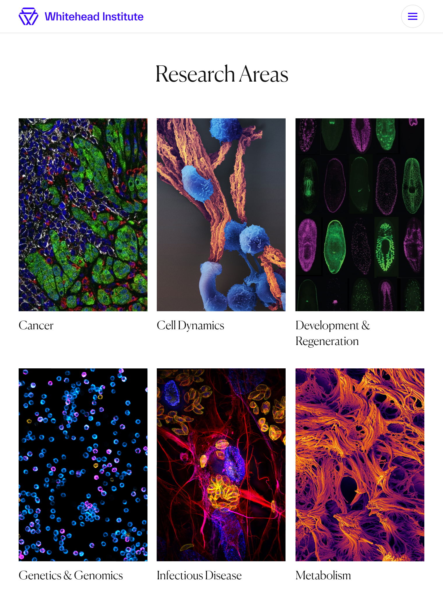 Whitehead Institute — AREA 17